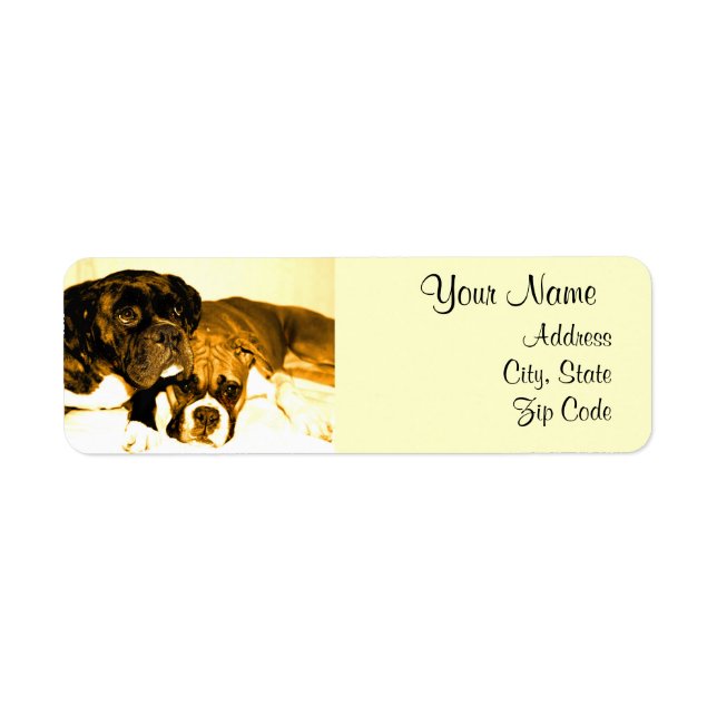 Boxer Dogs Address Labels (Front)