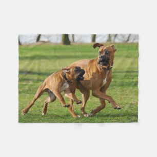 Boxer dogs run a funny race fleece blanket
