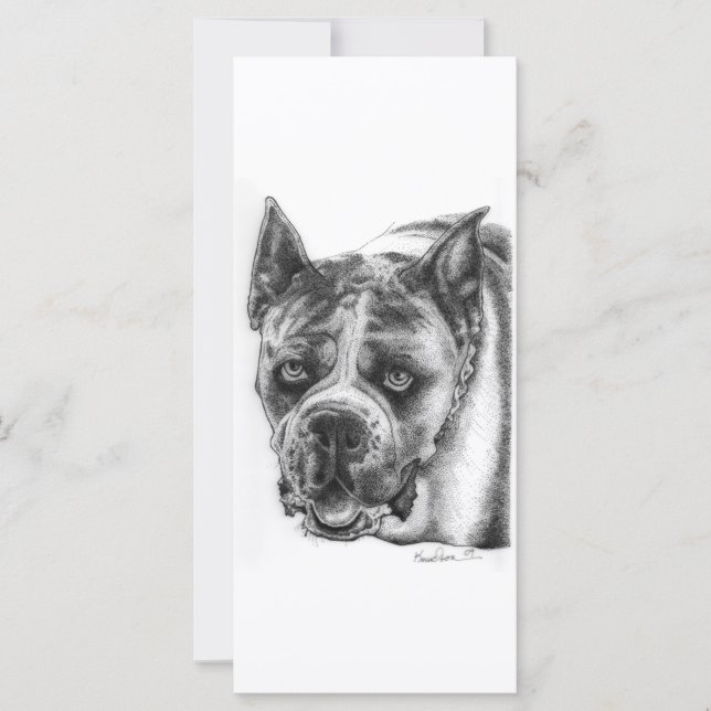 Boxer Drawing (Front)