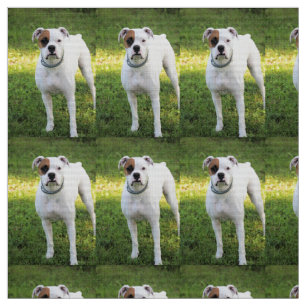 Boxer Fabric