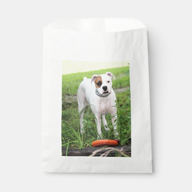 Boxer   favour bags (Front)