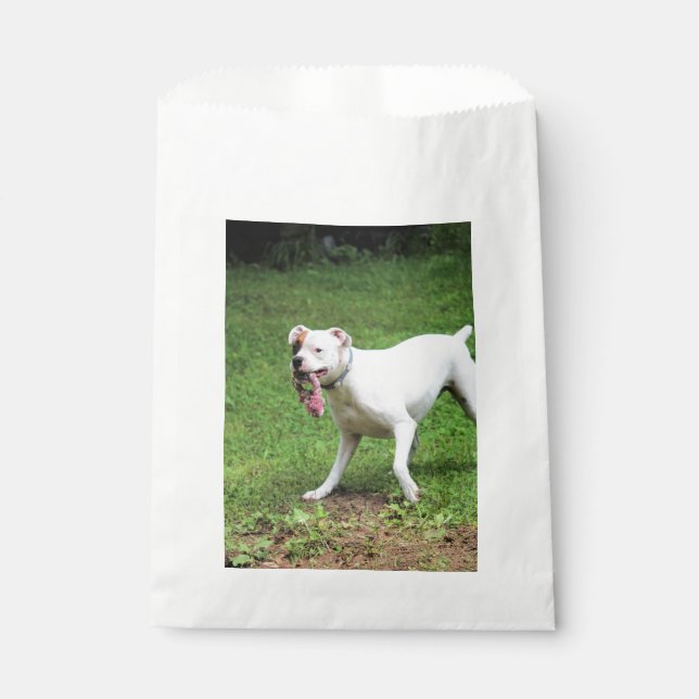 Boxer    favour bags (Front)