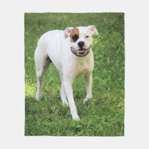 Boxer Fleece Blanket