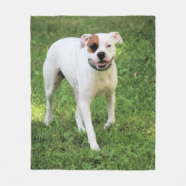 Boxer Fleece Blanket (Front)