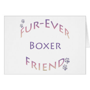 Boxer Furever