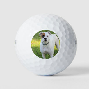 Boxer Golf Balls
