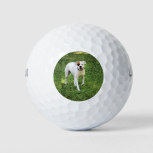 Boxer Golf Balls