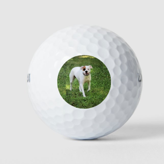 Boxer Golf Balls (Front)