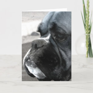 Boxer greeting card