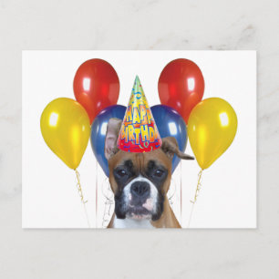 Boxer happy birthday Postcard