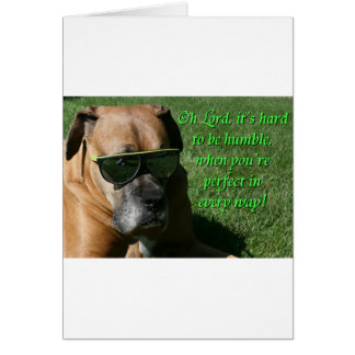 Boxer: Hard to be Humble