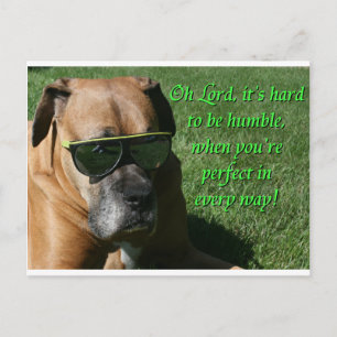 Boxer: Hard to be Humble Postcard