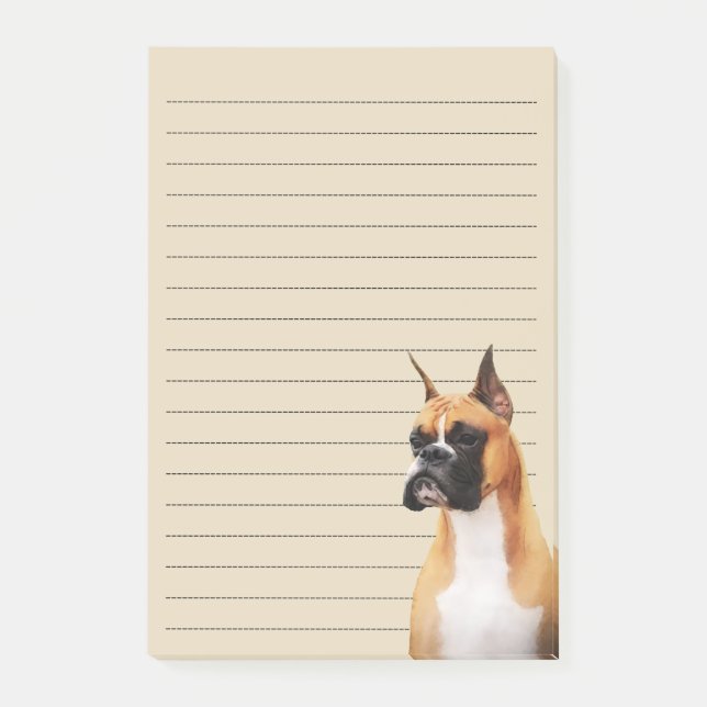Boxer Illustrated Notes (Front)