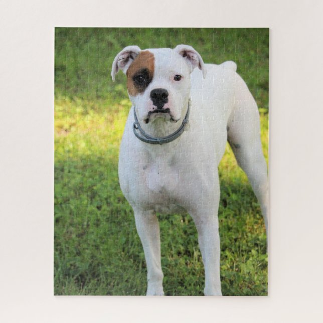 Boxer Jigsaw Puzzle (Vertical)