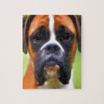 boxer