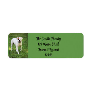 Boxer Label