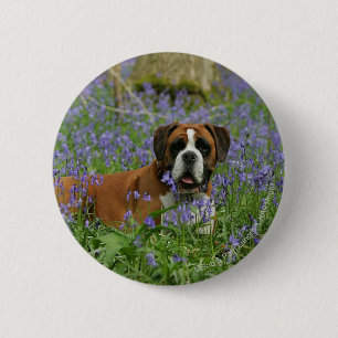 Boxer Laying in Bluebells 6 Cm Round Badge