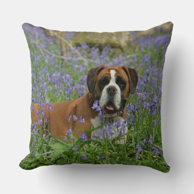 Boxer Laying in Bluebells Cushion (Front)