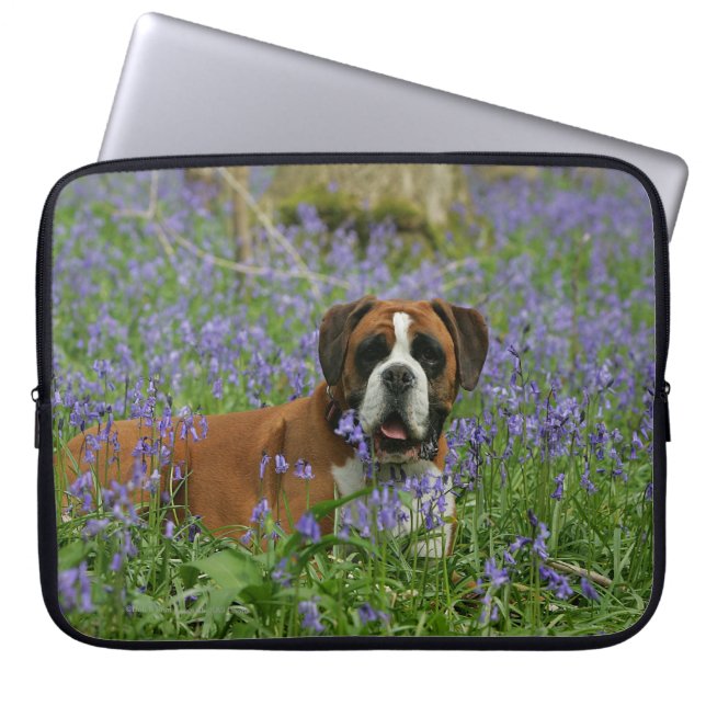 Boxer Laying in Bluebells Laptop Sleeve (Front)