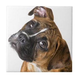 Boxer Love Tile