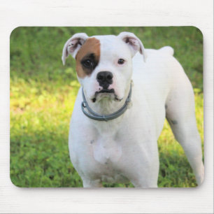 Boxer Mouse Pad