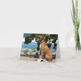 Boxer Note Card