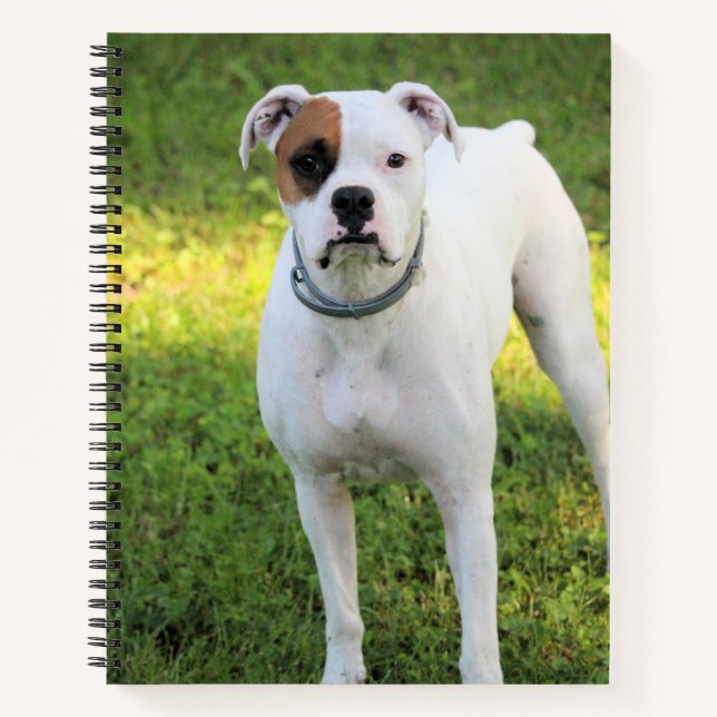 Boxer Notebook (Front)