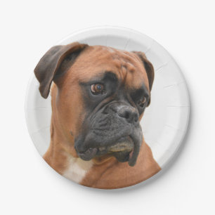 boxer paper plate
