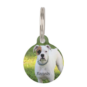 Boxer Pet Tag