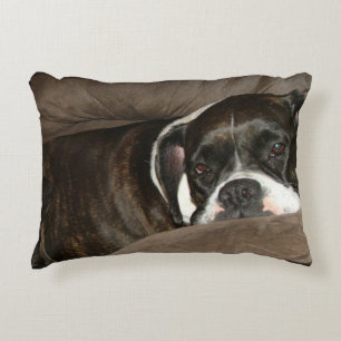 Boxer Pillow