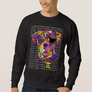 Boxer Pirate Costume Pi Day Math Teachers  Sweatshirt