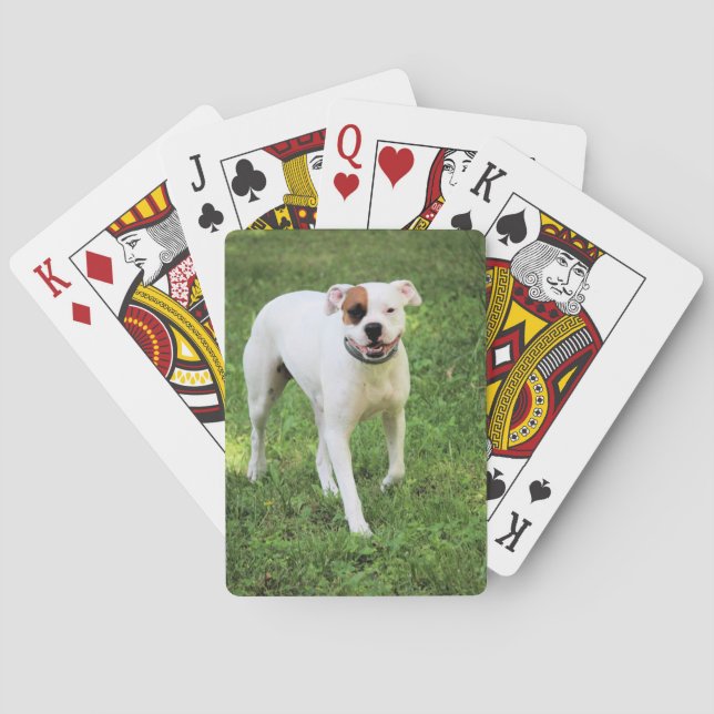 Boxer Playing Cards (Back)