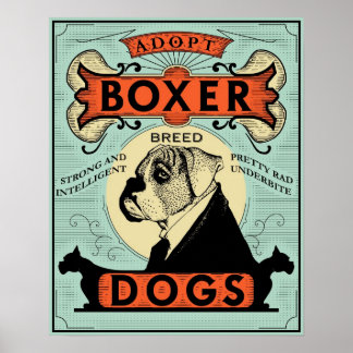 Boxer Poster 1
