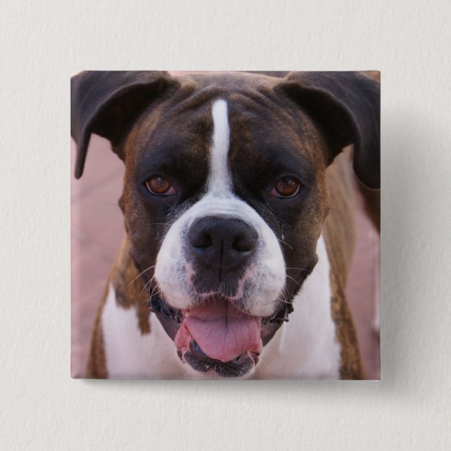 Boxer Pup Square Pin (Front)