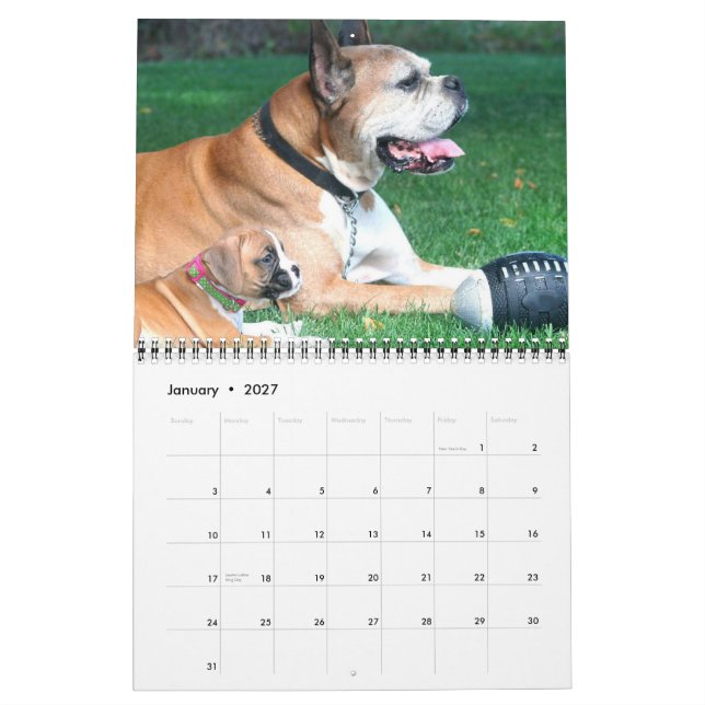 Boxer Puppies 2012 Calendar (Jan 2027)