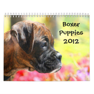 Boxer Puppies 2012 Calendar