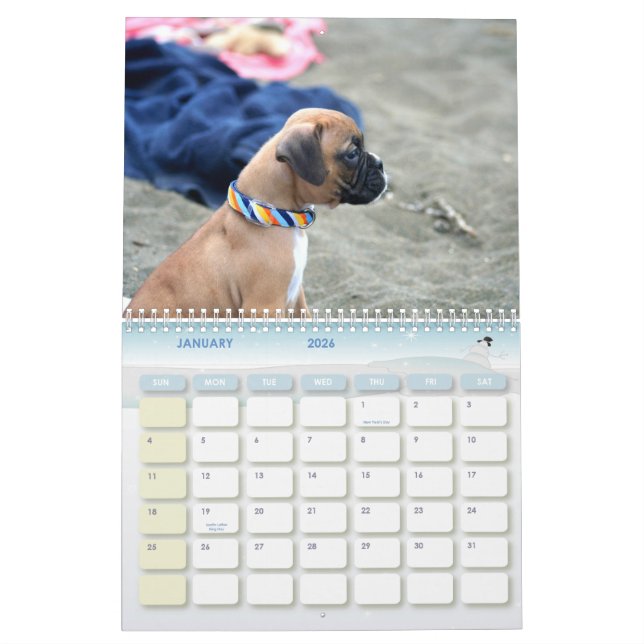 Boxer Puppies 2012 Calendar (Jan 2026)