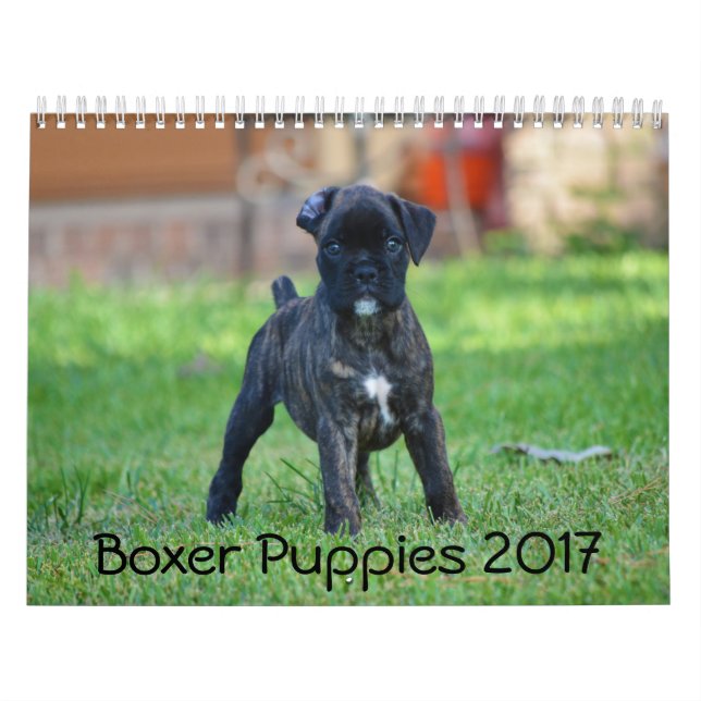 Boxer Puppies 2017 Calendar (Cover)