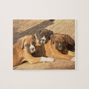 Boxer puppies 8x10 Photo Puzzle with Tin