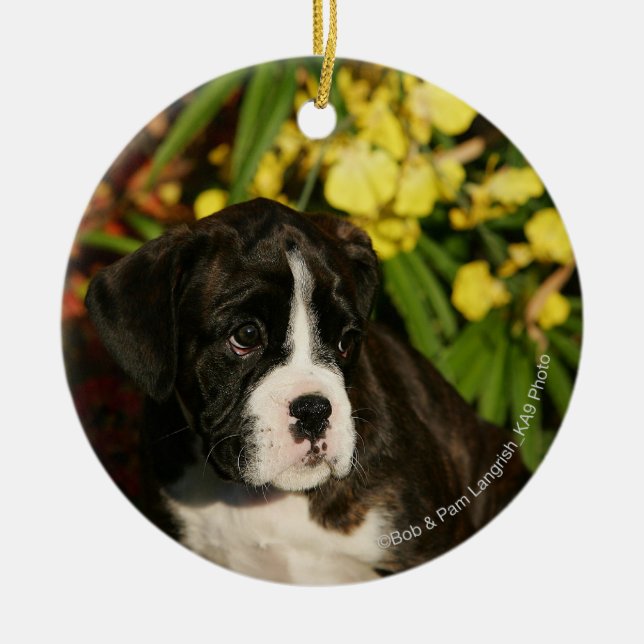 Boxer Puppies Ceramic Tree Decoration (Front)