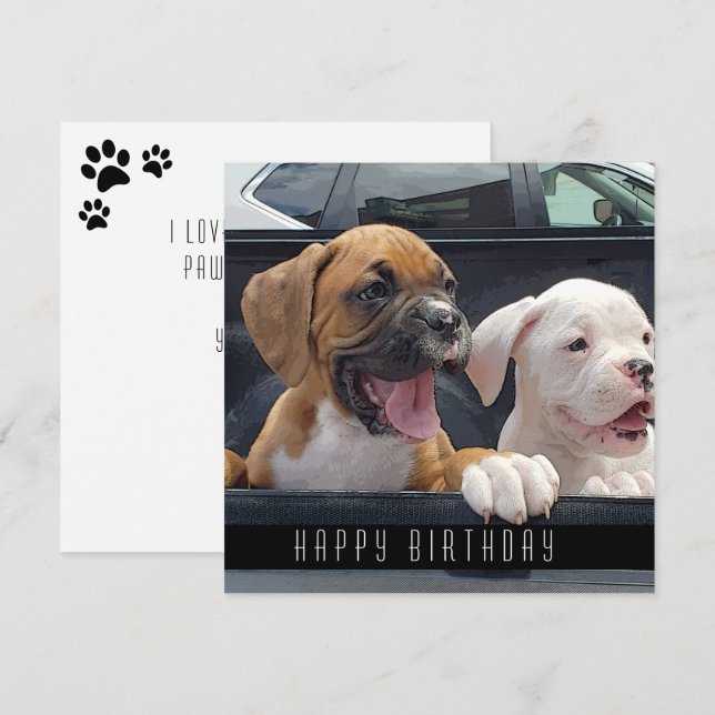 Boxer Puppies Happy Birthday Dogs Announcement (Front/Back)