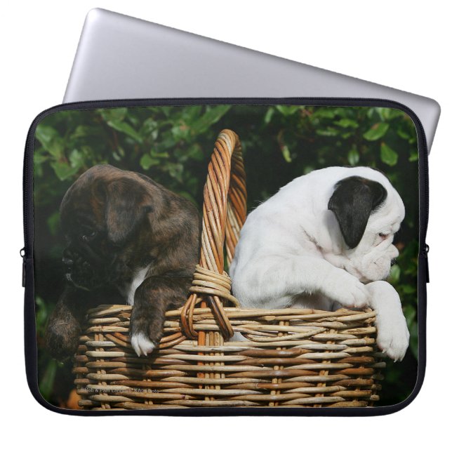 Boxer Puppies in Basket Laptop Sleeve (Front)