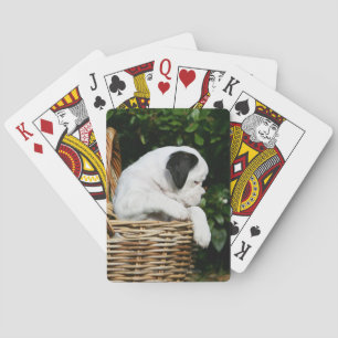 Boxer Puppies in Basket Playing Cards