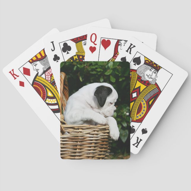 Boxer Puppies in Basket Playing Cards (Back)