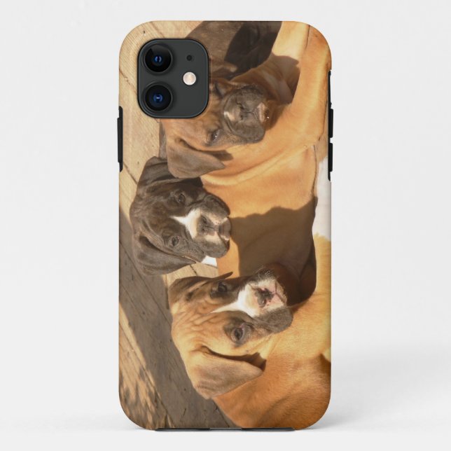 Boxer puppies iPhone 5 Barely There Universal Case (Back)
