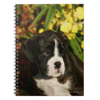Boxer Puppies Notebook