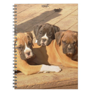 Boxer puppies spiral notebook