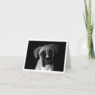 Boxer Puppy Dog Black And White Notecard