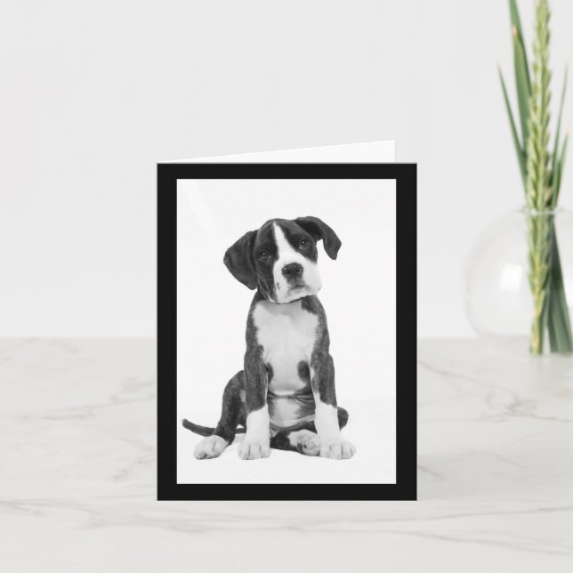 Boxer Puppy Dog Blank Note Card (Front)