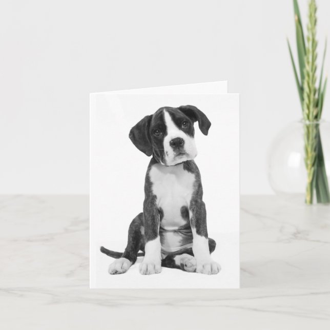 Boxer Puppy Dog Blank Note Card (Front)